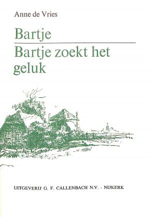 Bartje, Bartje zoekt het geluk 2