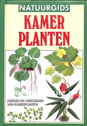 Kamerplanten