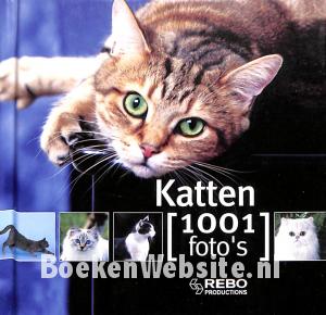 Katten 1001 foto's