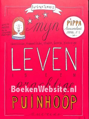 Mijn leven is een prachtige puinhoop