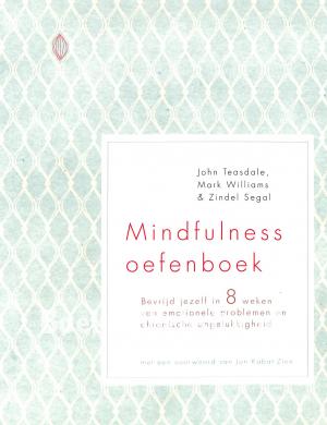 Mindfulness oefenboek