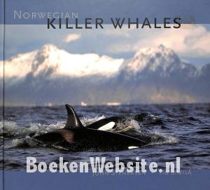 Norwegian Killer Whales