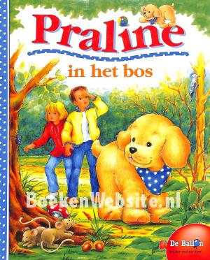 Praline in het bos