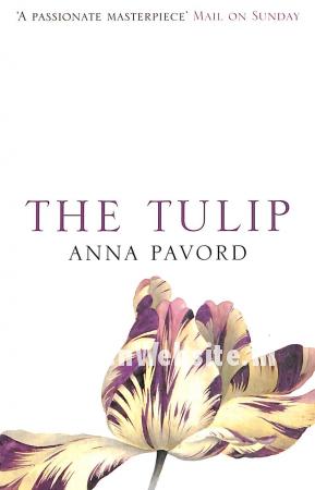 The Tulip