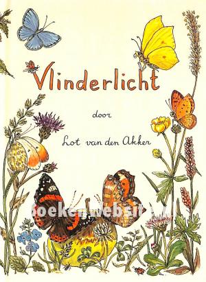 Vlinderlicht