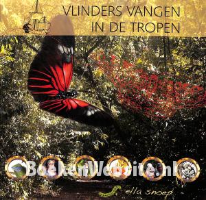 Vlinders vangen in de tropen