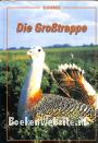 Die Grosstrappe