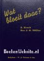 Wat bloeit daar?