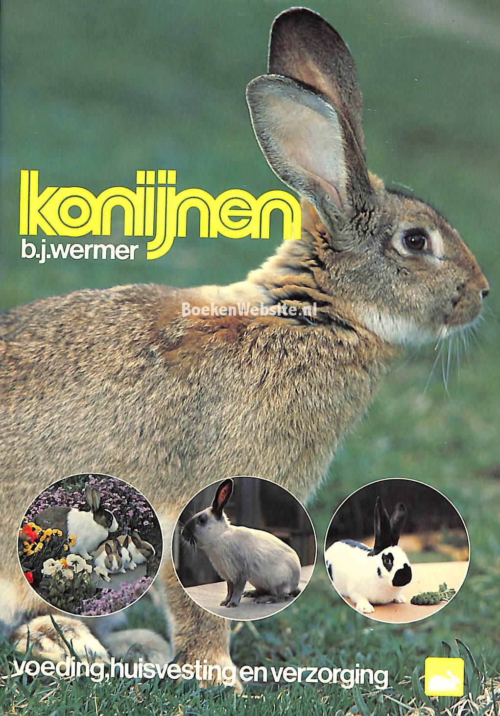 Konijnen, Wermer B.J. | BoekenWebsite.nl